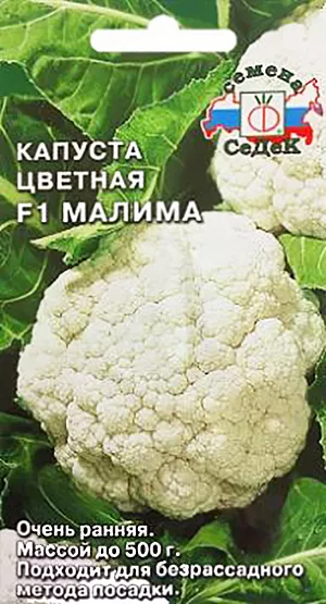 Семена Капуста цветная Малима F1