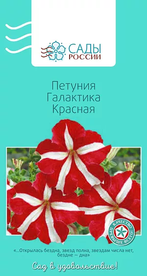 Петуния крупноцветковая Галактика Красная 10шт из каталога Петуния Петуния крупноцветковая Галактика Красная
Потрясающе эффектная группа крупноцветковых гибридов, несравнимых по обилию цветения, выравненности растений, выносливости к погодным условиям. Цветки двуцветные, крупные, в диаметре до 10–11 см, необыкновенно выразительные, очень красивые, лучистые, красно-серебристо-белые «звезды» Галактики.