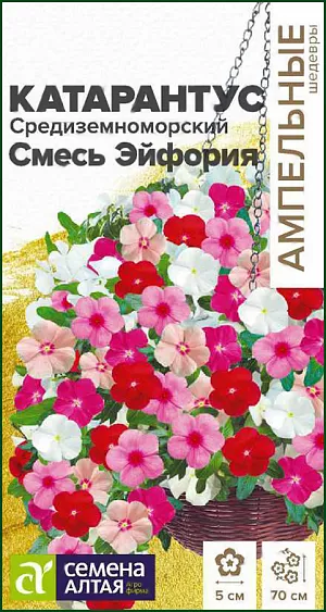 Катарантус Средиземноморский Смесь Эйфория из каталога Разные Семена цветы Катарантус Средиземноморский.<br>
<br>
Катарантус средиземноморский – красивоцветущий однолетник, в комнатных условиях возможно выращивать как многолетник. Новая ампельная форма катарантуса с крупными, 3-5 см. в диаметре, цветками. Быстро разрастается и полностью заполняет подвесную корзину. Растение сначала формирует сильноветвистый кустик высотой 10-15 см, а затем, продолжающие свой рост побеги, начинают ниспадать ярким каскадом, достигая длины 50-70 см. Прекрасно переносит засушливую непогоду. Отлично подойдет для выращивания в подвесных кашпо, балконных ящиках и больших контейнерах или в качестве почвопокровного растения.<br>
<br>
Земляную смесь для посева готовят из равных частей дерновой и листовой земли, перегноя, торфа и песка. Посевы на рассаду проводят с февраля по апрель. Семена высевают рядками, присыпая сверху небольшим слоем грунта (0,3 см). Посевы необходимо накрыть темной пленкой, поскольку для прорастания семенам требуется полная темнота. При температуре +25-28°С всходы появляются через 7-10 дней. После раскрытия росточков, требуется поддержание освещения до 18 часов в сутки. Температура воздуха в помещении не должна опускаться ниже +22-24°С. Нельзя допускать образования земляной корки после полива, для этого проводят аккуратное рыхление зубочисткой между рядками. Сеянцы пикируют в стадии 2-х настоящих листочков в отдельные емкости. В грунт рассаду высаживают, когда минует угроза заморозков. Посадочный интервал 20-30 см. Если растения высаживают в подвесные корзины, для обильного цветения необходима подкормка полным минеральным удобрением каждые 7-10 дней. Цветение с мая по октябрь.