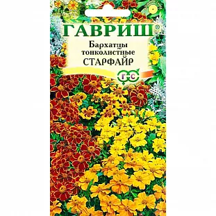 Бархатцы тонколистные Старфайр