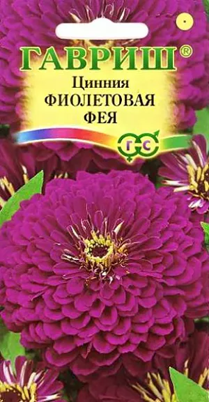 Семена Цинния Фиолетовая Фея из каталога Цинния Семена Цинния Фиолетовая Фея.
Неприхотливое однолетнее растение семейства Сложноцветные высотой до 90 см. Цветение обильное с июня до заморозков.
Фиолетовые георгиновидные соцветия до 10 -14 см в диаметре венчают прямые прочные стебли.
Светолюбива, засухоустойчива и теплолюбива. Выращивают рассадным способом. Семена высевают в апреле.
Всходы появляются через 4-6 дней.
В начале июня растения высаживают на расстоянии 25-30 см. Используется для озеленения и получения срезки.