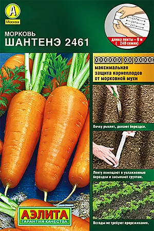 Семена Морковь Шантенэ 2461 (лента) Семена Морковь Шантенэ 2461 (лента)