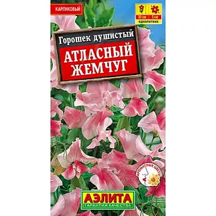 Душистый горошек Атласный жемчуг