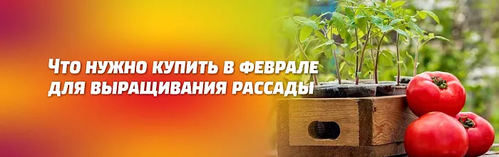 ЧТО НУЖНО КУПИТЬ ДЛЯ ВЫРАЩИВАНИЯ РАССАДЫ ЧТО НУЖНО КУПИТЬ ДЛЯ ВЫРАЩИВАНИЯ РАССАДЫ