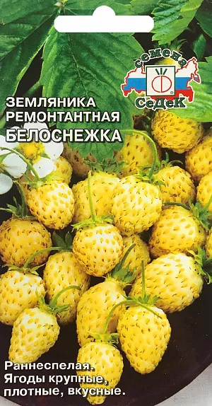 Семена Земляника (клубника) Белоснежка ремонтантная Семена Земляника (клубника) Белоснежка ремонтантная