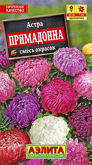 Семена Астра Примадонна смесь из каталога Астра <div>
Семена Астра Примадонна смесь.
</div>
Низкорослая смесь астр раннего срока цветения. Формирует компактные, аккуратные кустики высотой не более 25-30 см. Соцветия яркие крупные, ? 10-12 см. Растения устойчивы к фузариозу, хорошо переносят легкие заморозки. Не теряют декоративности в дождливую погоду. Удачный выбор для оформления бордюров и контейнерной культуры.<br>
<br>
Астра предпочитает солнечные участки с плодородными, дренированными, некислыми почвами. Недопустимо внесение навоза. Астру нельзя выращивать постоянно на одном месте, необходим перерыв в 4-5 лет. Возможен посев в открытый грунт ранней весной или под зиму.<br>