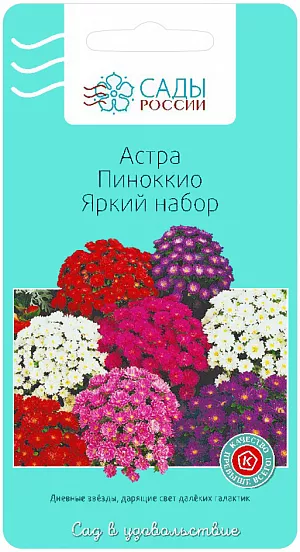 Семена Астра Пиноккио Яркий набор.
Популярная однолетняя астра, которая относится к группе низкорослых, так как ее высота всего 20-25 см. Цветы около 4 см в диаметре и зацветают в середине июля и до первых морозов. Семена высевают в марте или апреле, для чего идеально подойдет парник или теплица. Уже в мае рассаду можно высаживать в открытый грунт. Обеспечивая уход за астрами данного вида, необходимо знать, что для всходов нужно создать температуру +18 градусов. Красивая, компактная астра Пиноккио растет на хорошо освещенном месте, где питательная почва и нет застоя воды. В большинстве случаев цветок сажают в бордюрах, рабатках, цветниках и вдоль садовых дорожек.