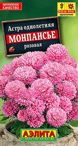 Астра Монпансье розовая из каталога Астра Семена Астра Монпансье розовая.
Невысокая компактная астра с необычайно обильным цветением. Густомахровые шаровидные соцветия 6-7см, настолько плотно покрывают кустики, что листвы почти не видно. Растения ветвистые, высотой до 20 см, хорошо переносят воздействие дождя и ветра, сохраняя свою декоративность с июля до окончания сезона. Астры холодостойкие, светолюбивые. Идеально подходят для выращивания в горшках, садовых контейнерах и балконных ящиках. Отлично смотрятся на переднем плане клумб и бордюров.
Агротехника. Выращивают рассадным способом. С развитием первой пары настоящих листочков сеянцы пикируют. На постоянное место рассаду высаживают в возрасте 30-35 дней. Возможен посев семян в открытый грунт весной или под зиму, в конце октября. Растениям необходимы регулярные поливы, прополки, рыхления и подкормки.