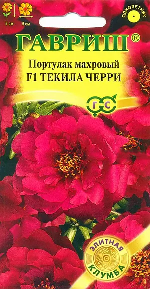 Семена Портулак Текила Черри F1 махровый.
Ценнейший почвопокровный однолетний гибрид,настоящий «спринтер» среди цветов: обладает необычайно высокой энергией роста и способностью быстро разрастаться, в короткое время достигает 35-40 см в диаметре при высоте всего 5 см. Цветки вишневые, крупные махровые. Свето- и теплолюбив, усточив к жаре и засухе, отлично приспосабливается к прохладному сырому климату. Цветет обильно до заморозков на самой скудной, даже каменистой почве без подкормок. Семена сеют на рассаду в феврале-марте поверхностно, прикрывают стеклом или пленкой, держат на свету. Всходы появляются через 7-14 дней. Пикируют в горшочки диаметром 5-6 см, с очень умеренным поливом. Рекомендован для оформления бордюров, каменистых горок, вазонов и контейнеров. Высаженные растения отличаются выравненностью и одинаковыми темпами роста.