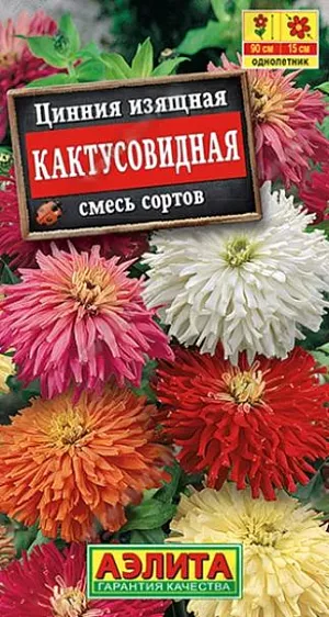 Семена Цинния Кактусовидная смесь сортов. Яркая смесь с красивыми соцветиями кактусовидной формы. Отличается крупными размерами цветков (диаметром 12-15 см.) и куста в целом – высота растений 80-90 см, ширина 35-40 см. Благодаря высокорослости, смесь рекомендуется для оформления заднего плана сборных цветников. Эффектные, густомахровые соцветия сохраняют декоративность на кусте около 30 дней. Срезка сохраняет свежесть в букете 7-10 дней.<br>
 <br>
  Циннии – растения теплолюбивые, быстрорастущие, относительно засухоустойчивые. Предпочитают солнечные участки с дренированными почвами среднего плодородия, нейтральной кислотности. В южных регионах возможен без рассадный способ выращивания.<br>
