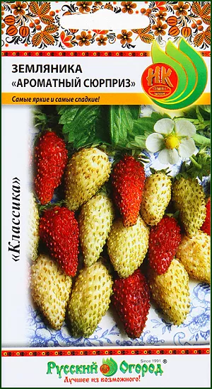 Семена Земляника (клубника) Ароматный сюрприз Семена Земляника (клубника) Ароматный сюрприз