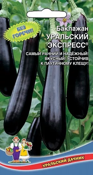 Семена Баклажан Уральский экспресс