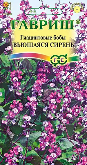 Семена Гиацинтовые бобы Вьющаяся сирень из каталога Разные Семена Гиацинтовые бобы Вьющаяся сирень.
Однолетнее вьющееся растение высотой до 4 м из семейства Бобовые.
Листья крупные, трехлопастные с сердцевидными долями темно-зеленого цвета с фиолетовым отливом.
Цветет с июля до заморозков. Цветки мотыльковые, собранные в кисти, белой, малиновой и фиолетовой окраски.
После цветения на растении образуются декоративные плоды — бобы зеленого или фиолетового оттенка, длиной до 6 см, со съедобными семенами.
Долихос уютно задекорируют любую вертикальную поверхность (заборы, стены, беседки), быстро разрастаясь плотным ковром из листьев и цветов.
Растение светолюбивое и теплолюбивое, хорошо растет только на достаточно прогреваемых местах с рыхлой почвой.
Семена перед посевом скарифицируют (очень аккуратно надрезают кожицу) и высаживают в конце апреля — мае в открытый грунт во влажную почву на расстоянии 15-30 см.
Подросшее растение нуждается в опоре и подвязке. Поливают умеренно, желательно еженедельно подкармливать.