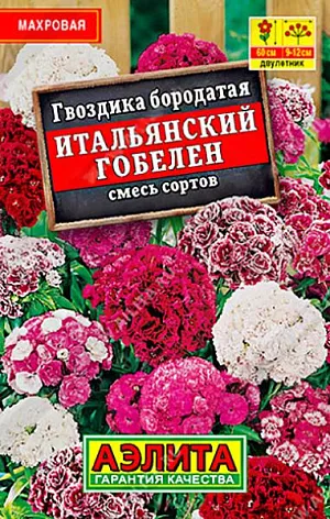 Гвоздика Итальянский гобелен смесь из каталога Гвоздика Семена Гвоздика Итальянский гобелен смесь. Любимица многих садоводов. Пышно цветет продолжительное время. Неприхотливая, холодостойкая, морозоустойчивая. Цветки махровые, ароматные. Используют для среднего плана цветников. Отличная срезка.