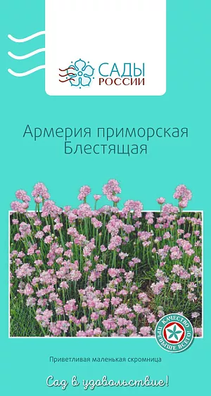 Армерия приморская блестящая 0,07гр из каталога Разные Армерия приморская блестящая
Подушковидное растение с узкими линейными плоскими сине-зелеными листьями. Цветки фиалково-розовые, собраны в головчатые соцветия, прикрытые пленчатыми прицветниками. Для лучшей всхожести семян их перед посадкой нужно поместить в теплую воду на 7–8 часов. Холодостойка, зимует без укрытия. При ранних посевах на рассаду зацветает в год посева.