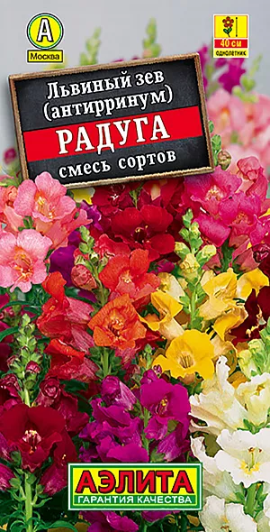 Семена Львиный зев Радуга смесь окрасок.
Низкорослая форма популярного обильноцветущего растения. Цветки ароматные, крупные, собраны в кистевидные соцветия. Кустики пирамидальные, ветвистые, высотой 30-40 см, с многочисленными цветоносами. Цветение очень раннее и продолжительное, с июня до окончания сезона. Растения неприхотливые, холодостойкие, относительно засухоустойчивые, предпочитают солнечное местоположение но могут расти и в полутени. Используются для групповых и одиночных посадок на клумбах, в бордюрах, рабатках и миксбордерах. Подходят для срезки. 
Агротехника. Выращивается через рассаду. Семена высевают поверхностно, без заделки, увлажняют из распылителя и накрывают стеклом для поддержания постоянной влажности до всходов. Семена прорастают на свету! Всходы появляются через 7-12 дней, растут медленно. В фазе одного-двух настоящих листьев сеянцы пикируют. Высадку рассады в открытый грунт проводят со второй половины мая. Посадки размещают на солнечных участках с плодородными, дренированными почвами.