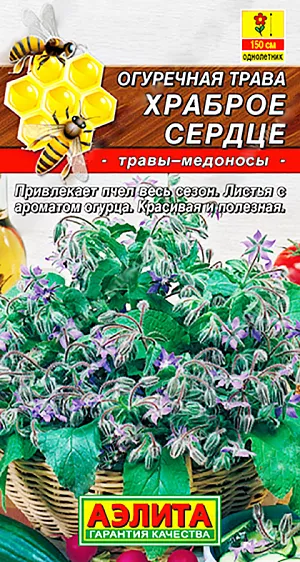 Огуречная трава Храброе сердце