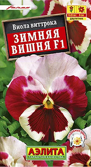 Семена Виола Зимняя вишня F1 из каталога Виола Семена Виола Зимняя вишня F1.
Роскошный гетерозисный гибрид с эффектной бело-красной колористикой. Такое праздничное сочетание цветов у виол встречается нечасто. Кустик крепкий, компактный, хорошо разветвленный, высотой 15-20 см. Цветки крупные, Ø 8 см. При правильном уходе растения обильно цветут без перерыва с ранней весны до поздней осени. При размещении посадок в легкой тени и при достаточном поливе цветение не прекращается в летнюю жару, цветки не мельчают. Рекомендуем гибрид для оформления балконов, садовых ваз, клумб и рабаток.
Посев. Для цветения в год посева семена высевают на рассаду в феврале – первых числах марта, с пикировкой сеянцев в фазе одного-двух настоящих листьев. В открытый грунт рассаду высаживают в конце апреля-мае. При посеве в открытый грунт в июне-июле цветет на следующий год.
