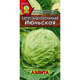 Семена Капуста белокочанная Июньская Семена Капуста белокочанная Июньская