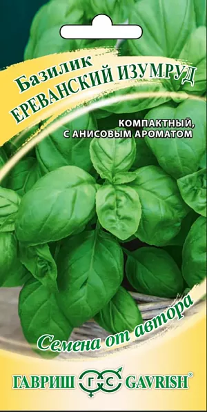 Семена Базилик Ереванский изумруд