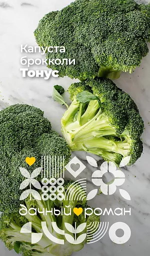 Семена Капуста брокколи Тонус