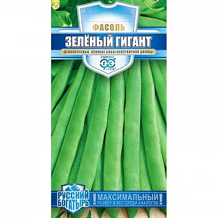 Семена Фасоль Зелёный гигант Семена Фасоль Зелёный гигант