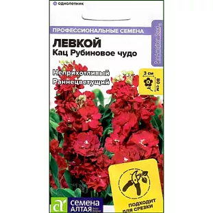 Левкой махровый Кац Рубиновое чудо