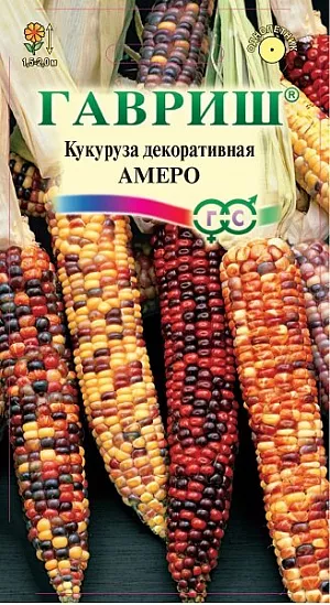 Кукуруза Декоративная Амеро из каталога Разные Семена Кукуруза Декоративная Амеро<br>
<br>
Достигает высоты 1,5-2,0 м. Стебли коленчатые, сочные, покрыты лентовидными пестрыми (с зелеными, желтыми, розовыми и красными) полосами листьями. Эти растения пригодны для создания высоких групп, изгороди, маскировки. Она отлично плодоносит и приятна на вкус в молочной спелости. Уникальность декоративной кукурузы состоит в том, что зерна початков соперничают своей многоцветностью с цветами. Но в отличие от цветов, не увянут, а украсят ваше жилище на годы.<br>