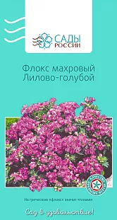 Флокс друммонда махровый лилово-голубой 10шт
