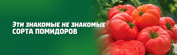 ЭТИ ЗНАКОМЫЕ НЕ ЗНАКОМЫЕ СОРТА ПОМИДОРОВ