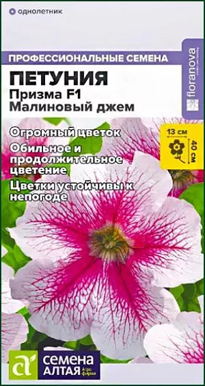 Семена Петуния Призма Малиновый джем F1<br>
 <br>
 Раннецветущий экстремально крупноцветковый гибрид. Формирует хорошо ветвящийся компактный кустик, не требует формировки. Цветки нежного розового оттенка с темно-малиновыми прожилками, очень долго сохраняют декоративность на растении, устойчивы к непогоде. Хорошо смотрится в массовых посадках и цветочных композициях, подходит для вазонов и балконных ящиков. Высота растения: 30-40 см Ширина растения: 30-40 см Диаметр цветка: 10-13 см Условия выращивания, место посадки: солнечные участки Требования к грунту: питательный легкий грунт, от слабокислого до нейтрального Способы выращивания: рассадный Время посева на рассаду: февраль-март.<br>