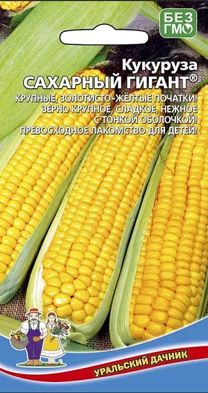 Семена Кукуруза Сахарный гигант