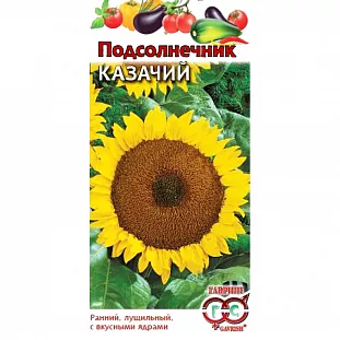 Семена Подсолнечник Казачий Семена Подсолнечник Казачий