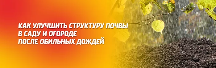 КАК УЛУЧШИТЬ СТРУКТУРУ ПОЧВЫ В САДУ И ОГОРОДЕ ПОСЛЕ ОБИЛЬНЫХ ДОЖДЕЙ