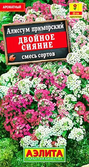 Алиссум Двойное сияние смесь окрасок из каталога Алиссум Семена Алиссум Двойное сияние смесь окрасок. <b>Один из самых ароматных почвопокровных летников.</b> Формирует низкие раскидистые кустики высотой до 20 см, обильно цветущие весь сезон, с мая до осенних заморозков. Растения неприхотливые, засухоустойчивые, холодостойкие, легкие в уходе. Широко используются на клумбах, в каменистых садиках и бордюрах. Прекрасно подходят для контейнерного декора на балконах и подоконниках. <b>Является отличным медоносом</b>, привлекая в сад насекомых-опылителей.<br>
<br>
Посев семян в открытый грунт весной, как только позволит почва. Для продления сезона декоративности отцветшие побеги обрезают или проводят повторные посевы 2-3 раза за сезон. Предпочитает легкие, дренированные почвы с нейтральной кислотностью. Не любит пере-<br>
увлажнения. Для раннего цветения посев на рассаду в марте, высадка рассады в конце апреля-начале мая. Необходимы регулярные поливы, прополки, рыхления и подкормки.