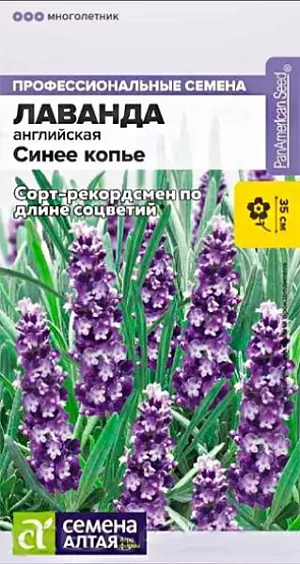 Лаванда узколистная Синее копье из каталога Разные Семена Лаванда узколистная "Синее копье".<br>
Растения этого сорта отличаются выравненным габитусом, однородностью соцветий, ранним и продолжительным цветением. Формирует длинные прямостоячие колосовидные соцветия с сине-фиолетовыми ароматными цветками. Отлично подходит для выращивания в кашпо, контейнерах, в бордюрных посадках, на клумбах. Используется в качестве сухоцвета.<br>
Высота растения: 30-35 см. Диаметр растения: 25-30 см. Размер цветка: 0,8-1 см. Условия выращивания, место посадки: хорошо освещенные места. Требования к грунту: питательный легкий грунт, слабощелочной или нейтральный. Способы выращивания: рассадный. Время посева на рассаду: январь-апрель.<br>
Способ посева: семена высевают на уплотненное ложе замоченных торфяных таблеток или увлажненного грунта, заделывая на глубину 0,2-0,3 см. Емкость накрывают прозрачной крышкой или пленкой до появления первых всходов, периодически проветривают. Оптимальная температура +18…20°С. После появления первых всходов рекомендуется организовать досветку до 10-12 часов в сутки.<br>
Время до появления всходов: 7-20 дней. Перевалка: производится через 6-8 недель в рассадные емкости диаметром около 9 см.<br>
Время высадки в открытый грунт: май, когда минует угроза возвратных заморозков. Посадочное расстояние: 20-30 см.<br>
Период цветения: июнь-август, цветение более раннее при продолжительности светового дня более 12 часов<br>
Уход: после высадки в грунт однократно подкармливают азотным удобрением, в фазе бутонизации – азотно-калийным, в начале осени – фосфорно-калийным для повышения зимостойкости. В регионах с суровыми зимами требует укрытия.<br>
Внимание! Семена праймированные, не требуют дополнительных обработок перед посевом!