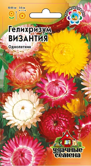 Семена Гелихризум Византия.
Травянистое растение семейства Астровые. Кусты слегка раскидистые, достигают высоты 60-80 см. Цветки собраны в соцветия - корзинки, имеющие очень яркие и многочисленные листочки обертки белой, розовой, желтой, оранжевой или красной окраски. Цветет обильно с июля до заморозков. Предпочитает открытые солнечные места. Выращивают рассадным способом. Всходы появляются через неделю после посева. Используется в озеленении (клумбах, рабатках), а также на срезку в качестве лучшего сухоцвета.