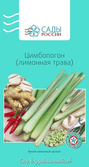 Цимбопогон (лимонная трава) 20шт Цимбопогон (лимонная трава) 20шт