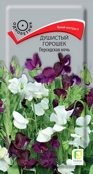Семена Душистый горошек Персидская ночь. Лазающие, крепкие, хорошо облиственные стебли до 250 см. длиной. Цветоносы прочные, упругие, 20-30 см. длиной. Цветки крупные, по 5-6 в кисти, с нежным приятным ароматом. Смесь состоит из белой и темно-пурпурной окрасок. Цветет с конца июня до заморозков. Используют для вертикального озеленения и на срезку.<br>
 <br>
 Агротехника. Растение предпочитает глубоко обработанные, плодородные почвы. Хорошо растет на открытых солнечных местах, может выдержать легкое притенение. Регулярный полив и подкормки способствуют обильному и продолжительному цветению. Размножают посевом семян в открытый грунт в мае, предварительно замоченными в теплой воде в течение 24 часов. Глубина заделки семян 0,5-1 см. При температуре почвы +18°C всходы появляются через 6-10 дней. Расстояние между растениями 10-20 см.