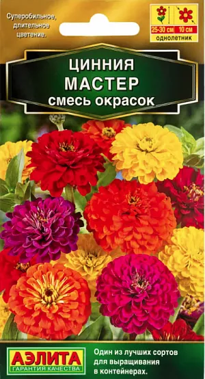 Семена Цинния Мастер смесь окрасок.
Однолетник
Высота 40 см
Диаметр 7 см
Новая смесь сортовой циннии порадует вас почти 100% махровостью своих цветков. Кусты крепкие, раскидистые, высотой 40 см. Цветки очень крупные, густомахровые. Каждый цветок держится на растении до 35 дней, что придает всему растению очень декоративный вид. Используют для посадки в пестрые цветники, на клумбы, рабатки и для срезки. Срезанные цветы долго стоят в воде.
Посев: март-апрель на рассаду. Через 3-4 недели после всходов сеянцы пикируют. В открытый грунт рассаду высаживают, когда минует угроза заморозков. Расстояние между растениями 40 см. Предпочитает солнечные, защищенные от ветров, теплые участки с дренированной, нейтральной, богатой гумусом и минеральными элементами почвой.
Уход: При продолжительной засухе требуется полив. Циннию подкармливают каждые 2-4 недели раствором комплексного минерального удобрения «АЭЛИТА-ЦВЕТОЧНОЕ» (содержит комплекс NРK, обогащённый широким спектром микроэлементов), обеспечивающим необходимое питание цветочным культурам. 
Цветение: с июля до заморозков. Регулярное удаление увядших соцветий способствуют более пышному цветению. Цинния хорошо сочетается с ноготками, бархатцами, мелкоцветковыми хризантемами, вербеной.