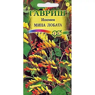 Ипомея Мина Лобата
