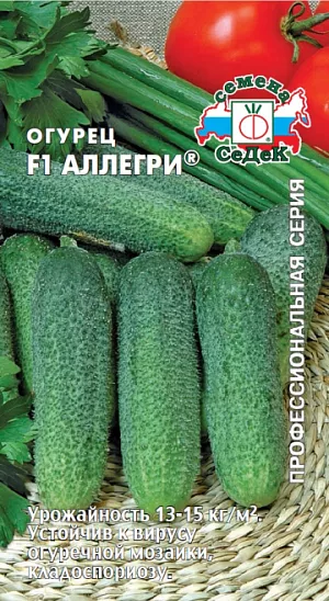 Семена Огурец Аллегри F1