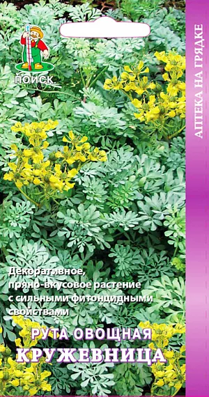 Семена Рута овощная Кружевница