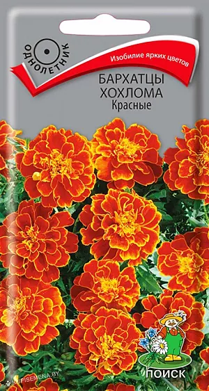 Семена Бархатцы Хохлома Красные (тагетес). Изобилие ярких цветов. Куст густооблиственный высотой до 40 см. Побеги прочные, зелёные. Соцветия махровые, диаметр 4-5 см, махогоново-красные. Цветёт с июня по сентябрь. Используют для клумб, рабаток, бордюров и украшения балконов.<br>
 <br>
 <br>
 Растение светолюбивое, засухоустойчивое. Предпочитает плодородные и солнечные места (может расти при небольшом затенении). Размножают посевом семян в марте-апреле. Глубина заделки семян 0,5-1 см. При температуре почвы +18°C всходы появляются через 7-15 дней. Сеянцы содержат при умеренной температуре, пикируют в фазе 2-х настоящих листьев. Высаживают в открытый грунт в конце мая - начале июня (когда минует угроза поздневесенних заморозков). Расстояние между растениями при посадке 15-20 см. 