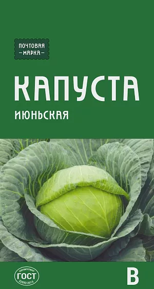 Семена Капуста Июньская Семена Капуста Июньская