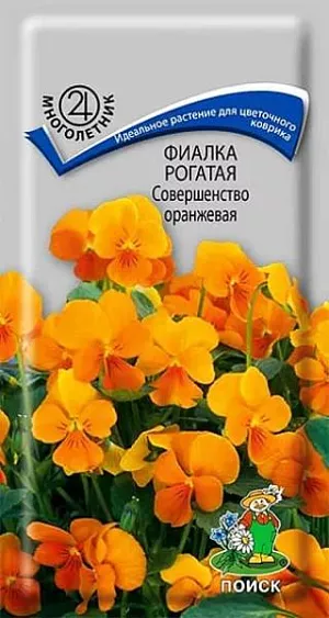 Семена Фиалка рогатая Совершенство оранжевая.
Идеальное растение для цветочного коврика. Высота кустика 15 см. Стебли образуют плотные подушки. Цветы оранжевые, одновременно на кустике насчитывается до 60 штук. Цветёт с мая по сентябрь. Используют для бордюров, альпинариев и миксбордеров.