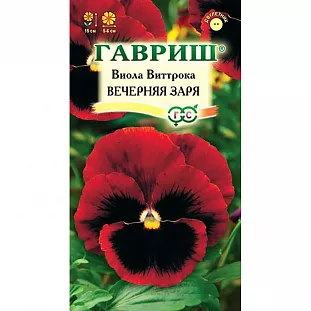 Семена Виола Вечерняя Заря Виттрока Семена Виола Вечерняя Заря Виттрока