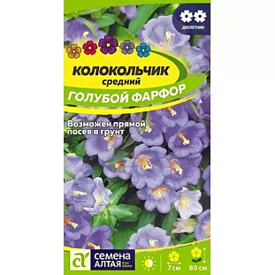 Семена Колокольчик средний Голубой фарфор Семена Колокольчик средний Голубой фарфор