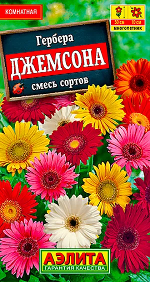Семена Гербера Джемсона смесь окрасок.
Привлекательное свето- и теплолюбивое растение для комнат и оранжерей. Длинные цветоносы увенчаны крупными одиночными соцветиями-корзинками ярких мажорных расцветок. У Вас есть шанс самостоятельно вырастить растение, шикарно цветущее в середине зимы. Мощный позитив насыщенных красок на Вашем окне на фоне зимнего пейзажа поднимет настроение, поможет пережить долгую зиму. Зацветает через 7-10 месяцев после посева, цветет 3-4 месяца.
Агротехника. Посев семян весной на рассаду. В фазе 2-3 настоящих листьев растения пикируют. Подросшую рассаду с 4-5 настоящими листьями рассаживают в отдельные горшки, в слабокислую почвосмесь (рН 5,0-5,5). Растениям полезен влажный воздух, опрыскивайте их водой из распылителя 1-2раза в сутки, особенно зимой. Зацветает гербера через 7-10 месяцев после посева. Не увлекайтесь подкормками, этой красавице полезна диета. Для продолжительного и обильного цветения растениям необходим своевременный полив, регулярная прополка, рыхление и подкормка минеральными удобрениями.