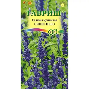 Сальвия мучнистая Синее небо Сальвия мучнистая Синее небо